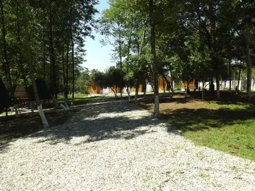 Ассир - 38