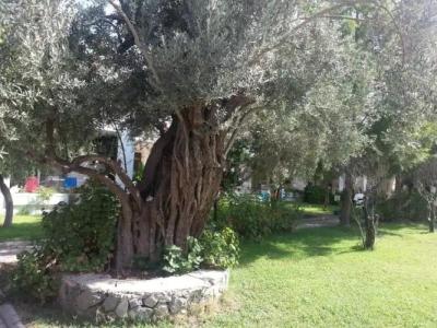 Muskebi Apart Otel - 20