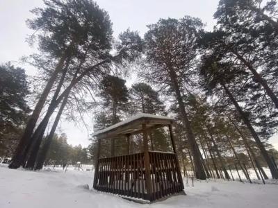 Сибирская здравница - 4