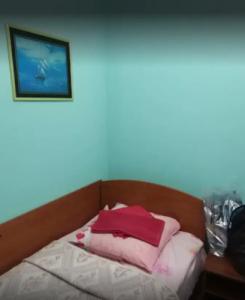 Северное Сияние - 15