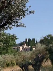 b&b All’Ombra Di San Damiano - 37