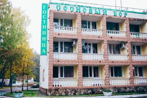 Сосновый Бор - 0