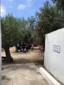 Santa Rosalia - 39
