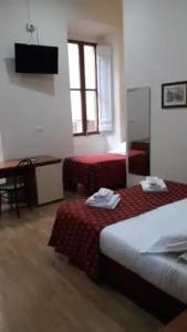 Mimosa Pantheon - 29