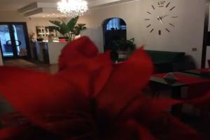Hotel «La Rosetta», Скаури