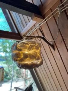 Глэмпинг на Краю Земли - 110