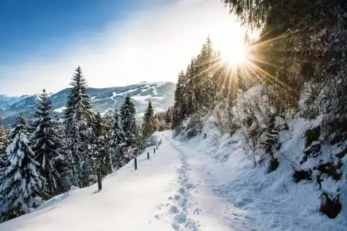 Alpenwelt Superior - 35