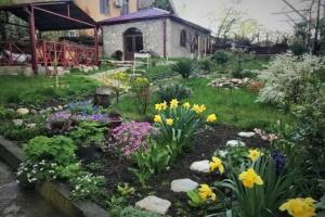 Guesthouse «Lilia &Wine Celler», Телави