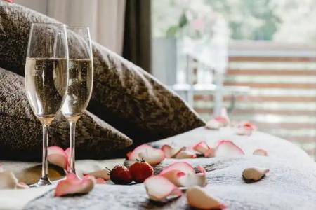 Romantik Landschloss Fasanerie - 12