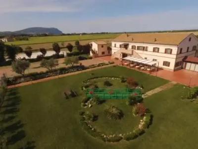 Ristorante Mira Conero - 12