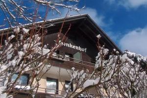 Landhotel Henkenhof Willingen, Виллинген