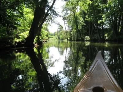 Galindia Refugia - 17