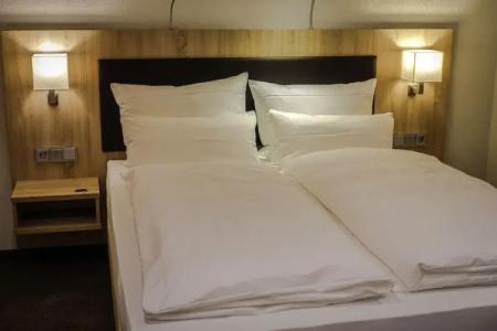 Go2Bed & Restaurant Weil am Rhein / Basel - 4