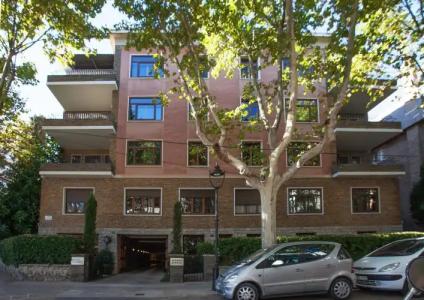 Primero Primera - 17