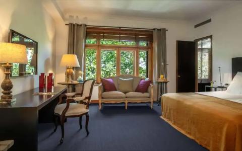 Primero Primera - 35