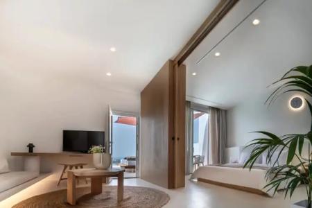 Andronis Luxury Suites - 125