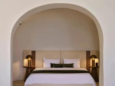 Andronis Luxury Suites - 96