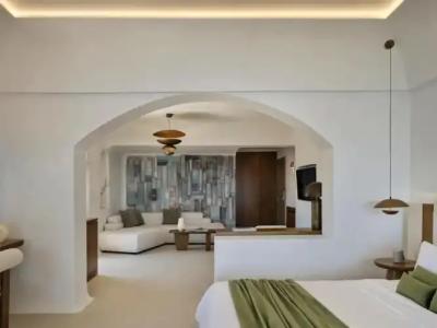 Andronis Luxury Suites - 9