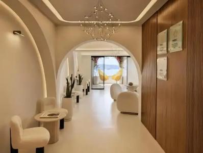 Andronis Luxury Suites - 24