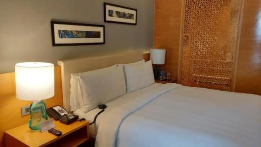 Crowne Plaza Jaipur Tonk Road, An Ihg - 58