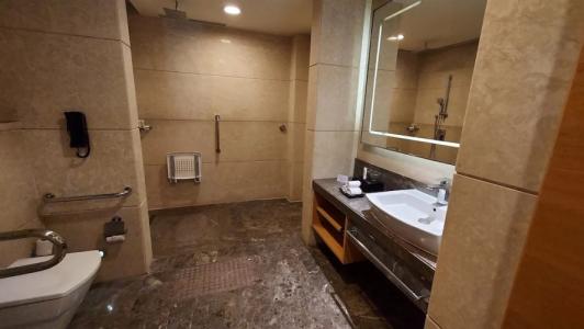 Crowne Plaza Jaipur Tonk Road, An Ihg - 104