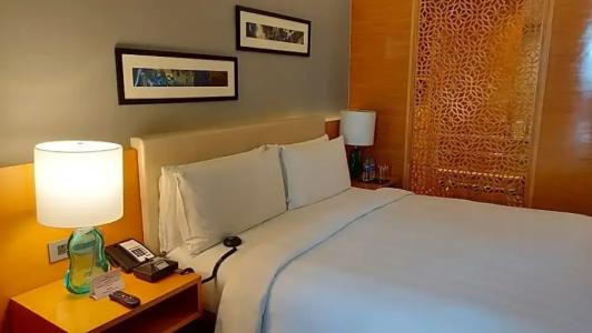 Crowne Plaza Jaipur Tonk Road, An Ihg - 105