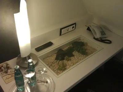 Spundloch- das & Weinrestaurant - 34