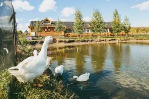 Загородный отель «Ярославна», Ростов Великий
