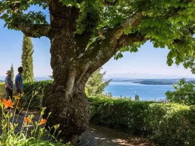 ParkSt.Leonhard - 17