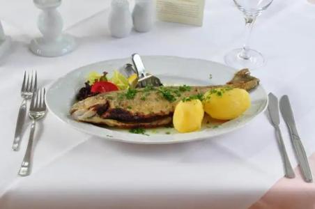 GreenLine FerienForelle - 0