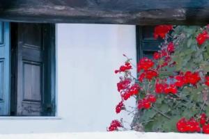 Ferogia, Скирос