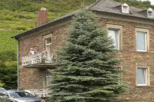 Schloß-Hotel Petry, Трайс-Карден