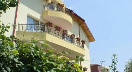 Guest House Kiwi - 0