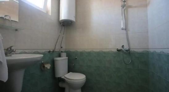 Guest House Kiwi - 7