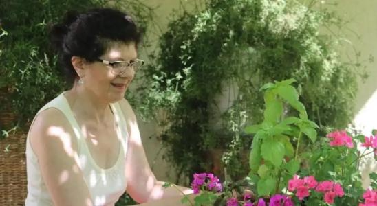 Guest House Kiwi - 15