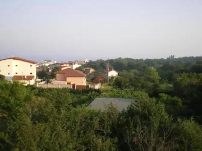 Guest House Kiwi - 22