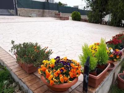Bed and Breakfast Angolo Fiorito - 27