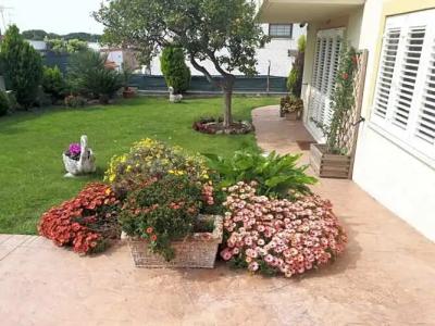 Bed and Breakfast Angolo Fiorito - 16