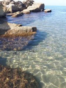 Bed and Breakfast Angolo Fiorito - 15