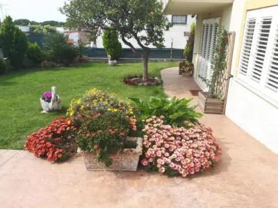 Bed and Breakfast Angolo Fiorito - 25