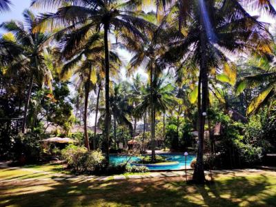 Holiday Village - 17