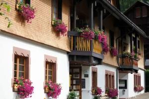 Hotel Gasthaus Hirschen, Тодтнау