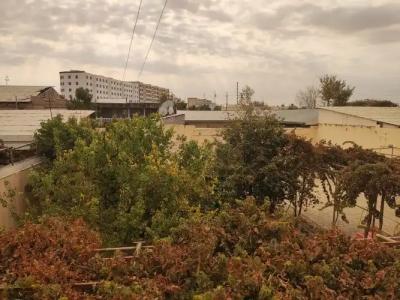 Al-Mirjon - 36