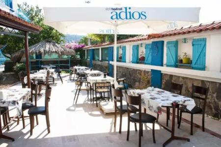 Koz Marigold Apart - 52