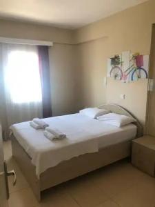 Koz Marigold Apart - 77