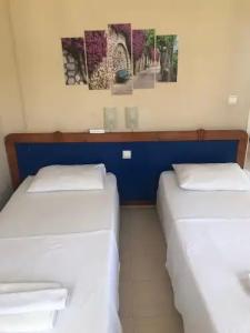 Koz Marigold Apart - 155