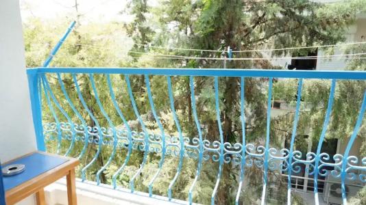 Koz Marigold Apart - 109