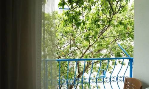 Koz Marigold Apart - 106