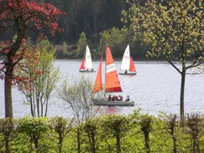 Auerhahn Wellnesshotel - 7