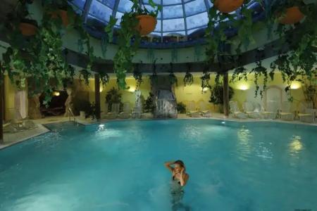 Auerhahn Wellnesshotel - 3